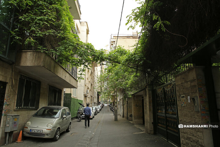 فصل بهار در کوچه پس کوچه های تهران