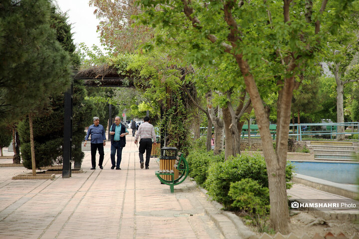 فصل بهار در کوچه پس کوچه های تهران