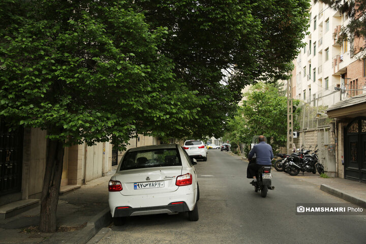 فصل بهار در کوچه پس کوچه های تهران