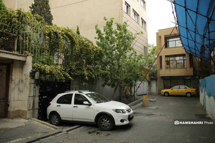 فصل بهار در کوچه پس کوچه های تهران