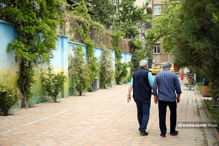 فصل بهار در کوچه پس کوچه های تهران