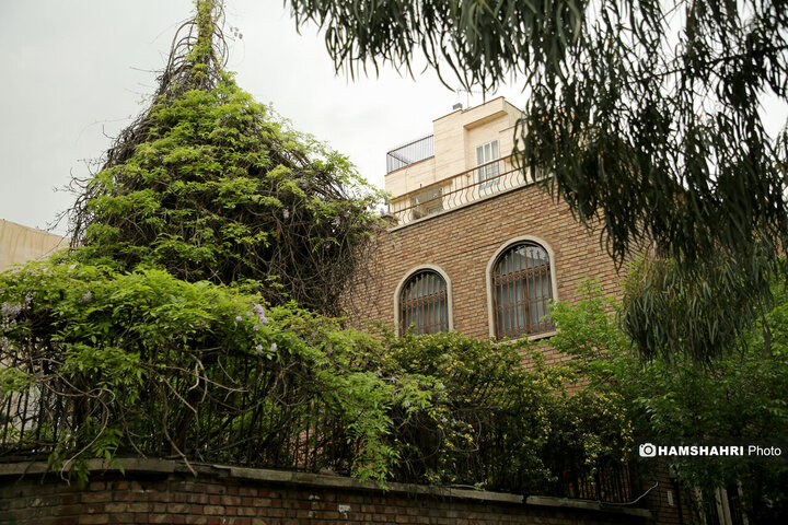 فصل بهار در کوچه پس کوچه های تهران