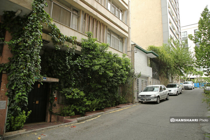 فصل بهار در کوچه پس کوچه های تهران