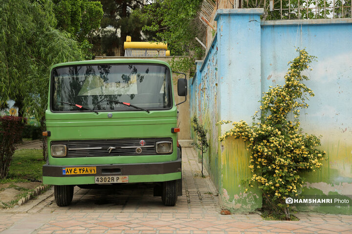 فصل بهار در کوچه پس کوچه های تهران