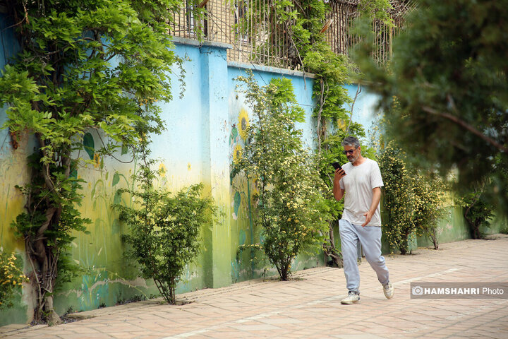 فصل بهار در کوچه پس کوچه های تهران