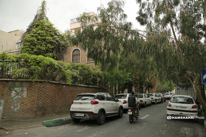 فصل بهار در کوچه پس کوچه های تهران