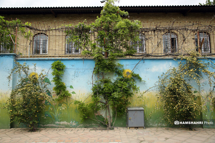 فصل بهار در کوچه پس کوچه های تهران