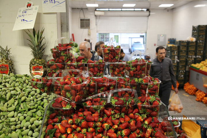 عرضه نوبرانه‌های بهاری در میادین و بازارهای میوه و تره‌بار