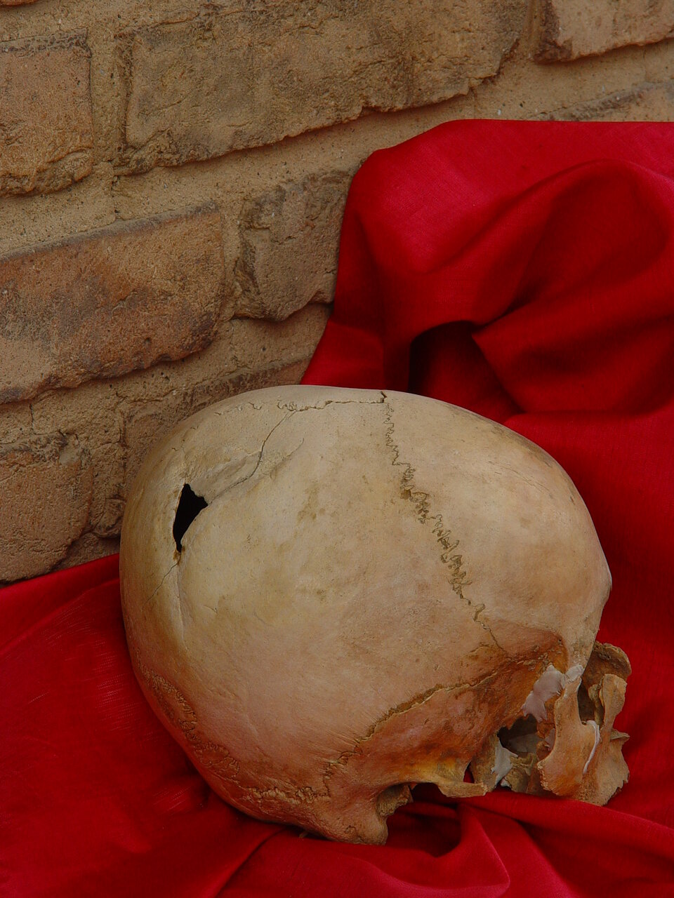 یکی از عجایب تاریخ جهان در این موزه در تهران خفته است | از کالسکه خانه سلطنتی تا موزه تاریخ پزشکی