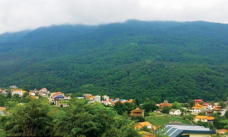 گشت و گذار در ییلاقات بهاری تهران | سفر یک روزه به دل بهار