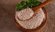 اسفرزه برای چی خوبه ؟ ؛ طریقه مصرف اسفرزه | طبع اسفرزه گرم است یا سرد ؟