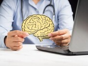۶ خوراکی برای زنده کردن مغز