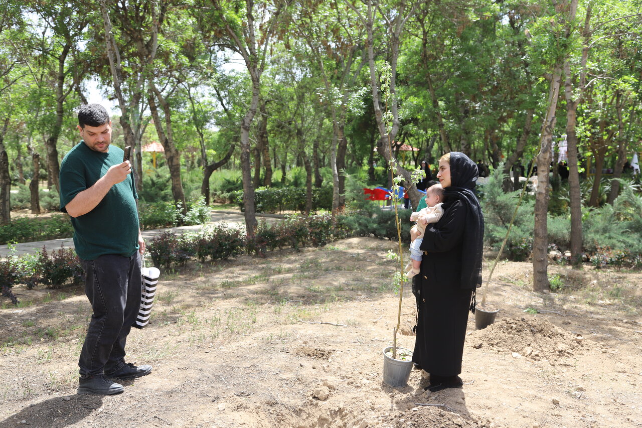 نفس‌های تازه شهر زیر سایه درختان