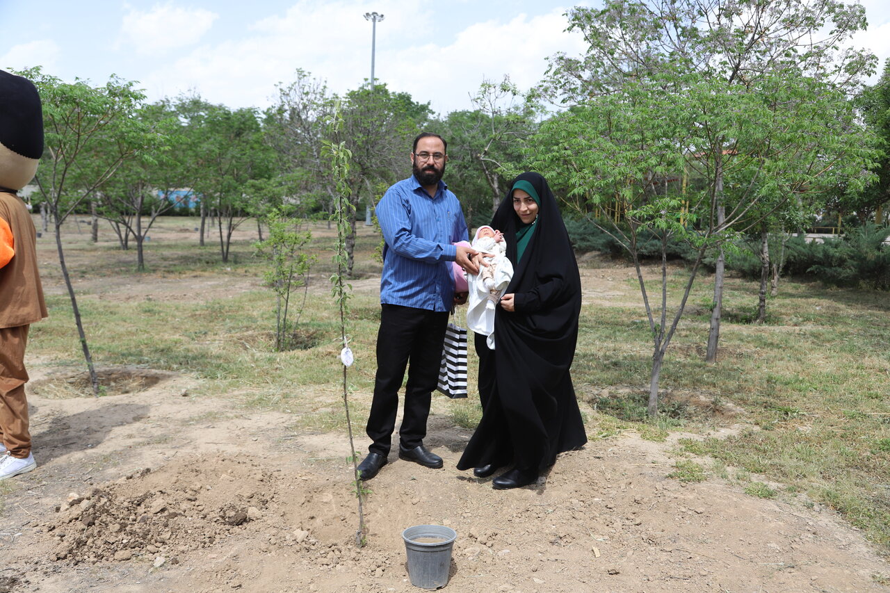 نفس‌های تازه شهر زیر سایه درختان