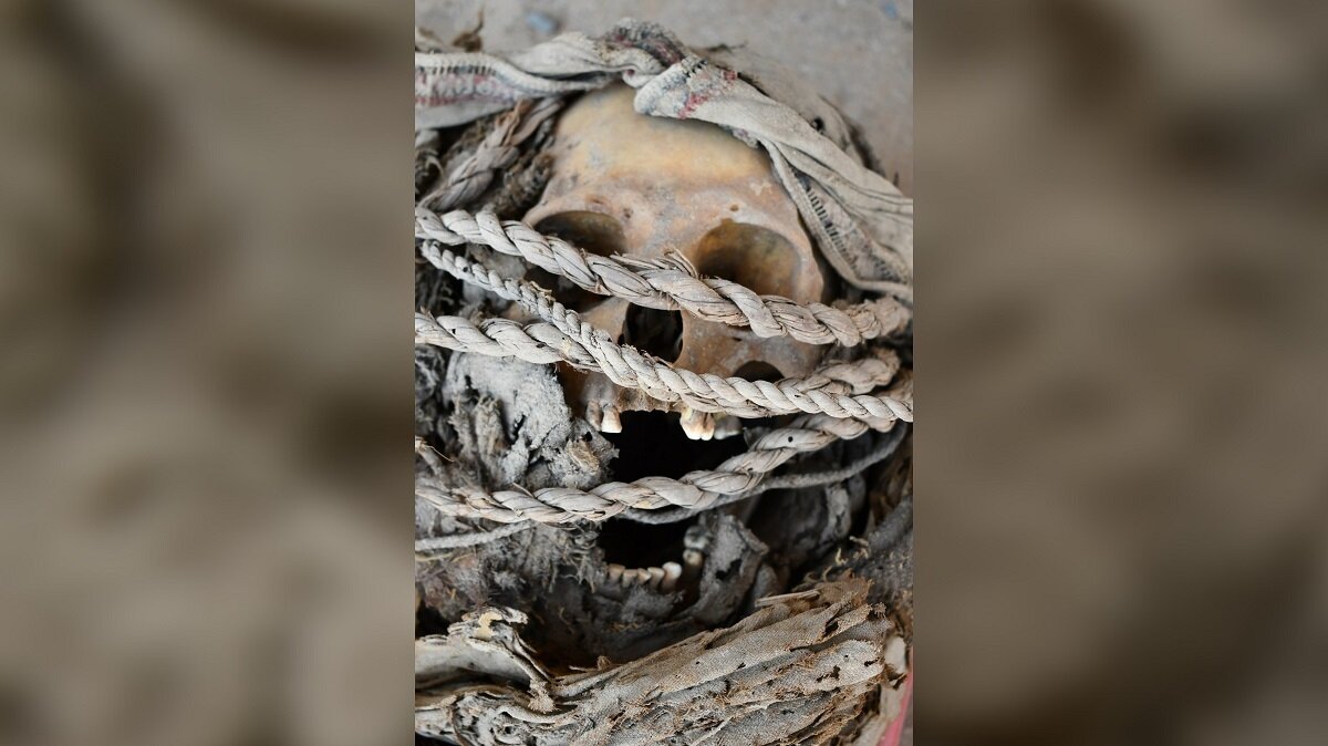 پردهبرداری از یک نبرد باستانی؛ کشف اسکلتهای آسیب دیده در ال کوراکا | عکس