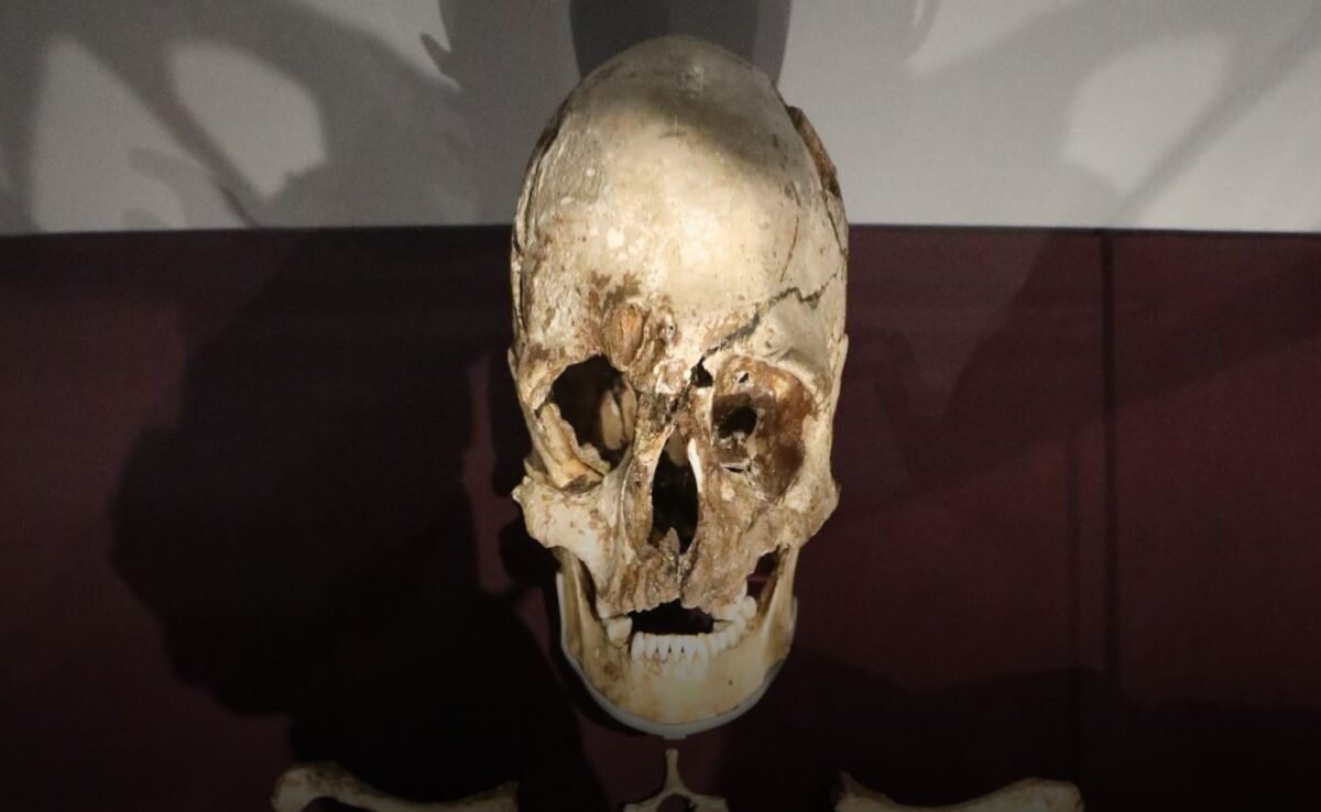 از آناتولی تا اروپا | مسیر مهاجرتهای مرموز انسان پیش از تاریخ