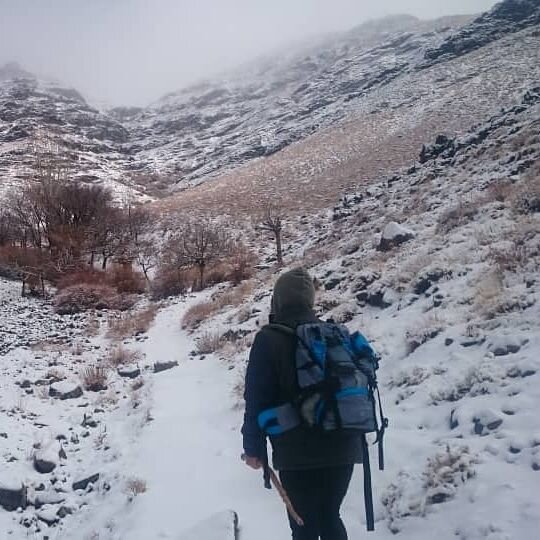 سفر با عطر عود|تصاویری جذاب از ایران در خاطرات برادران ایرانگردی که مبتکر ساخت عودهای درمانی هستند