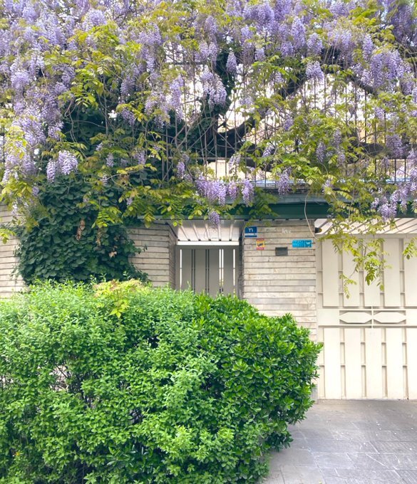 بهشت را در کوچه های تهران ببینید