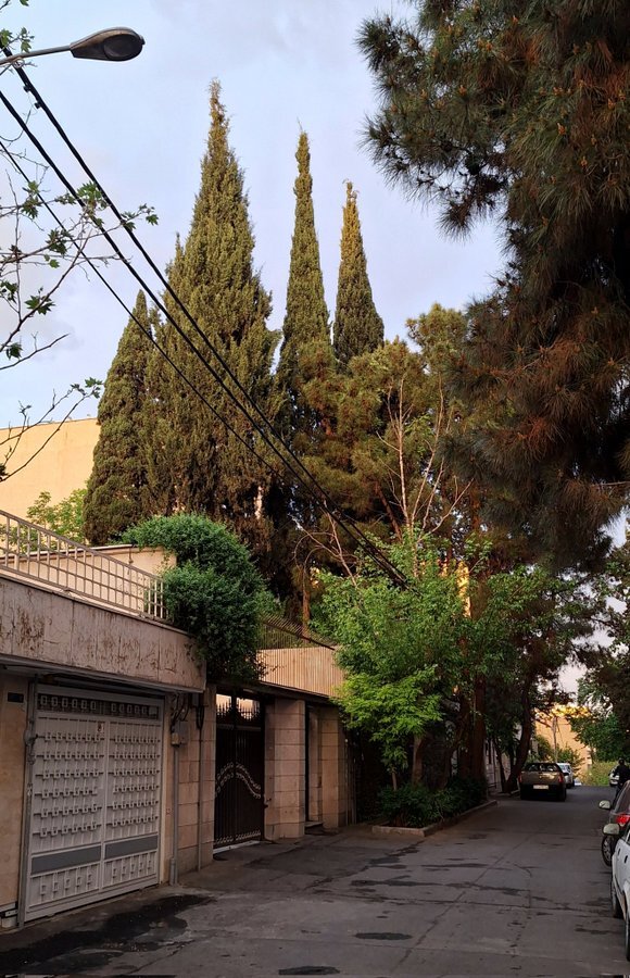 بهشت را در کوچه های تهران ببینید