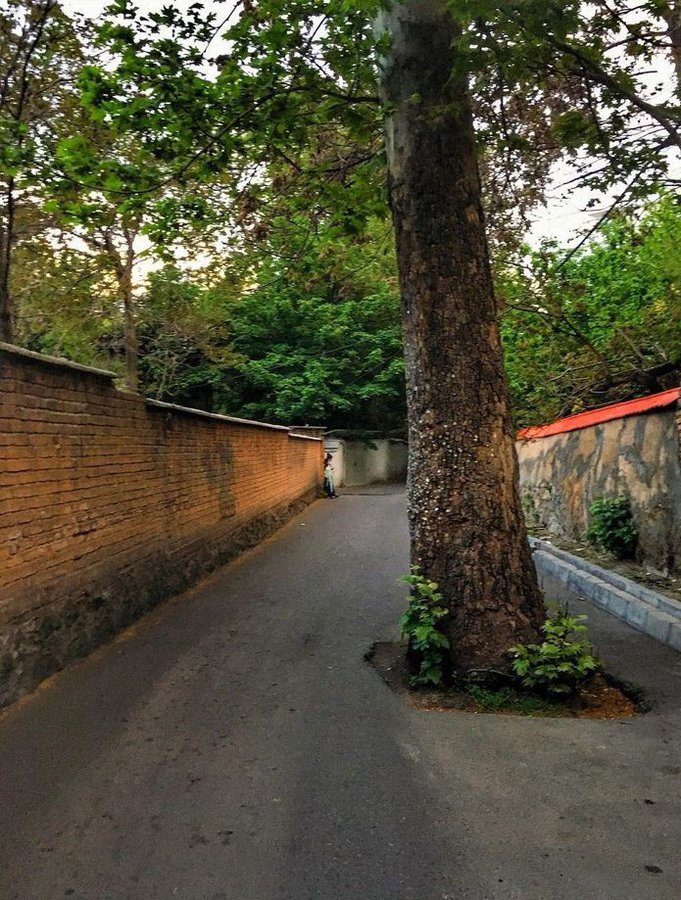 بهشت را در کوچه های تهران ببینید