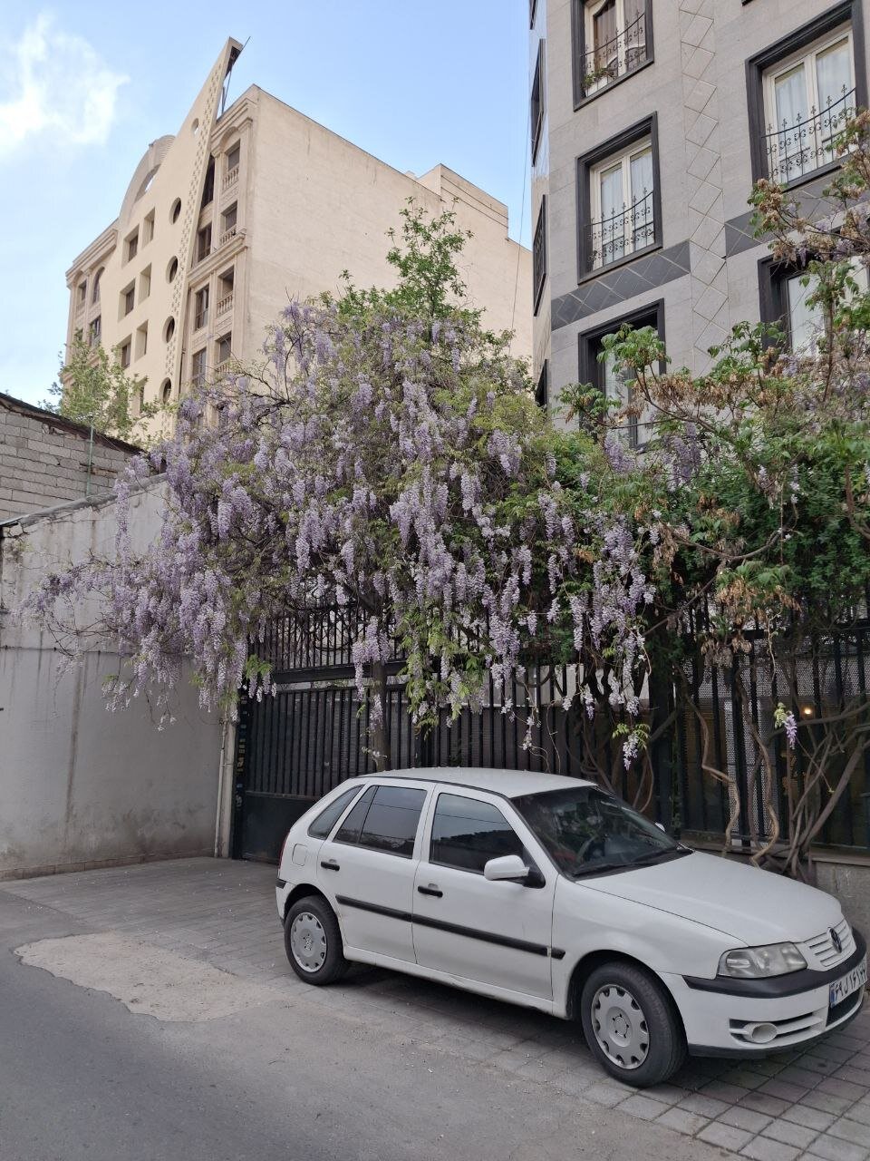 بهشت را در کوچه های تهران ببینید