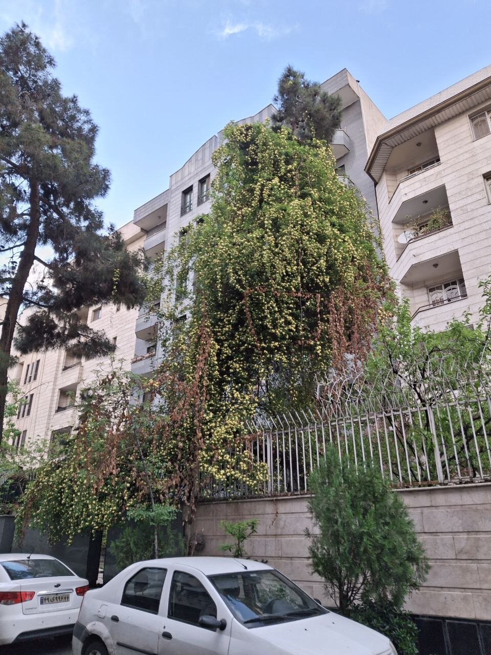 بهشت را در کوچه های تهران ببینید