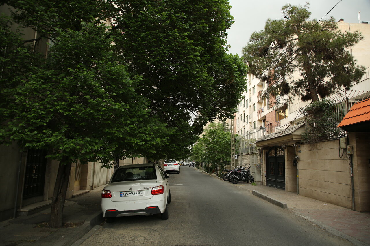 بهشت را در کوچه های تهران ببینید