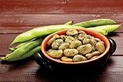 چطور باقلا سبز را برای مدت طولانی نگهداری کنید؟ | از پوست‌گیری تا خشک کردن باقلا