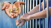 به دنبال هوش مصنوعی هستیم اما قانون مهریه هوش طبیعی جوانان را از بین برده است!