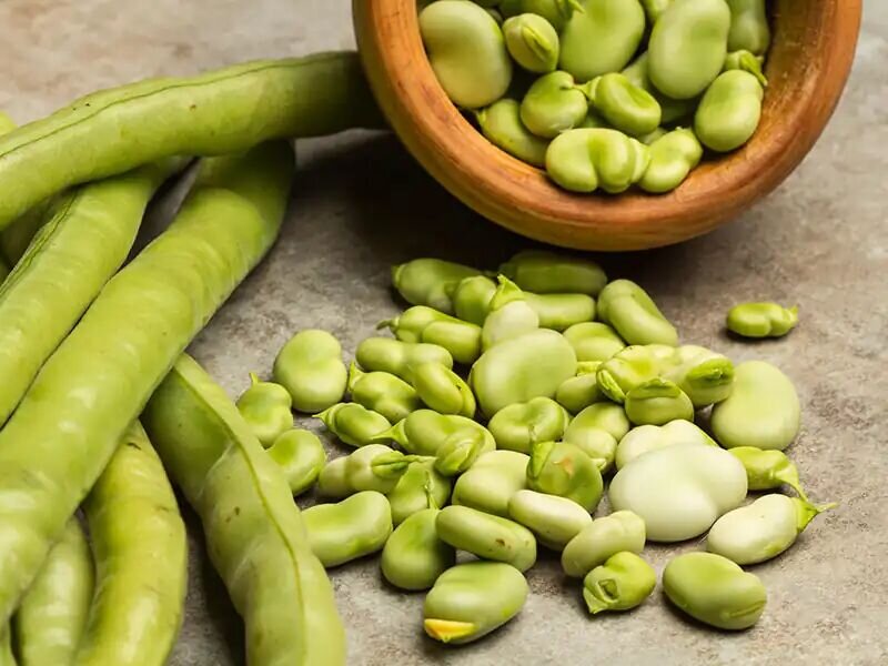 چطور باقلا سبز را برای مدت طولانی نگهداری کنید؟ | از پوستگیری تا خشک کردن باقلا