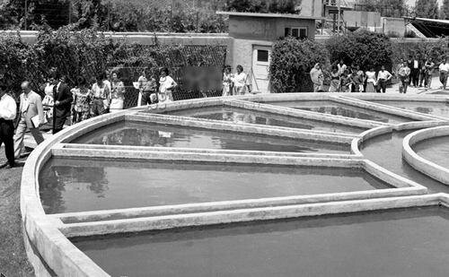 ماجرای سازمان آب اخوان در امیرآباد چه بود؟