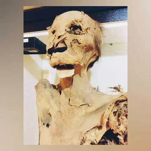 دورهمی ۴۰ جمجمه ۵هزار ساله در امیرآباد