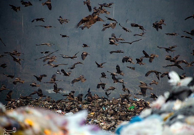 برزخ انجیلسی و کوه ۳ هزار تنی زباله | ۲۵ سال وقت‌کشی! | تصاویر