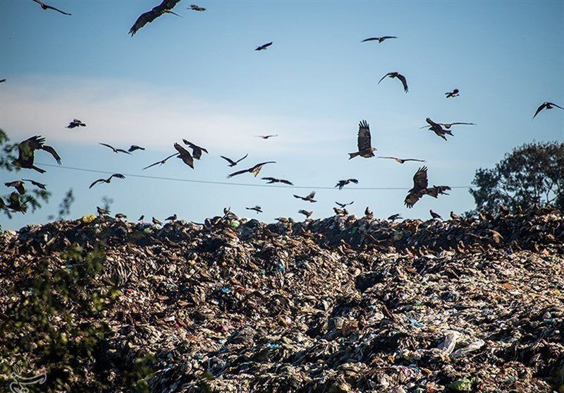 برزخ انجیلسی و کوه ۳ هزار تنی زباله | ۲۵ سال وقت‌کشی! | تصاویر