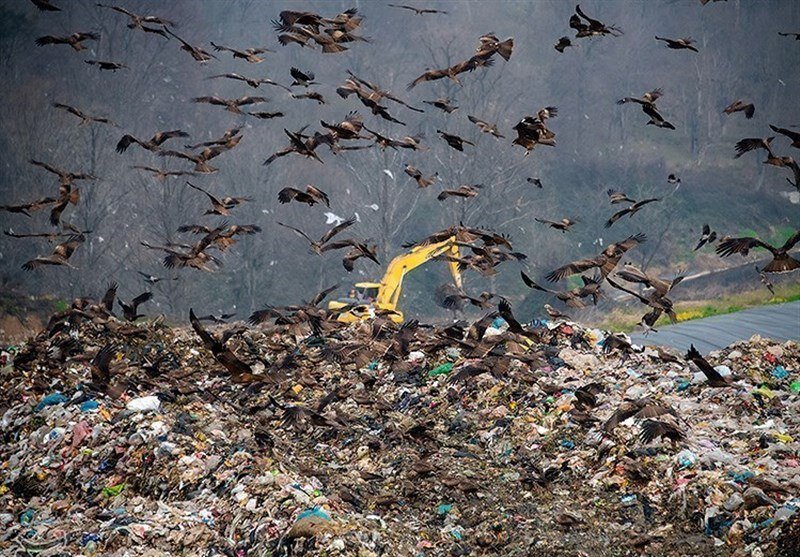 برزخ انجیلسی و کوه ۳ هزار تنی زباله | ۲۵ سال وقت‌کشی! | تصاویر