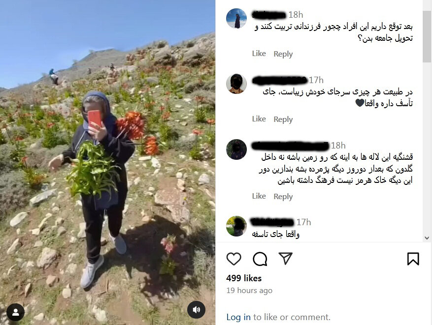 غارت منابع طبیعی، این بار در فارس | شناسایی و برخورد با تور گردشگری متخلف | جریمه ۱۵۰۰۰ دلاری برداشت گیاهان در کشور همسایه