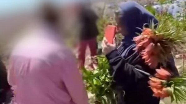 نسل‌کُشی لاله‌ها در دشت سپیدان  | ببینید