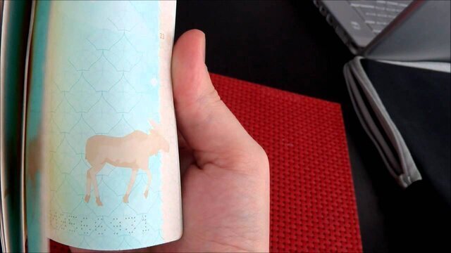 زیباترین و خلاقترین پاسپورتهای جهان! | عکس