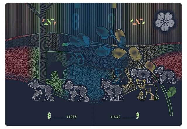 زیباترین و خلاقترین پاسپورتهای جهان! | عکس