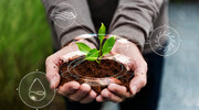 استفاده از ظرفیت دانشجویان در حل مسائل زیست محیطی