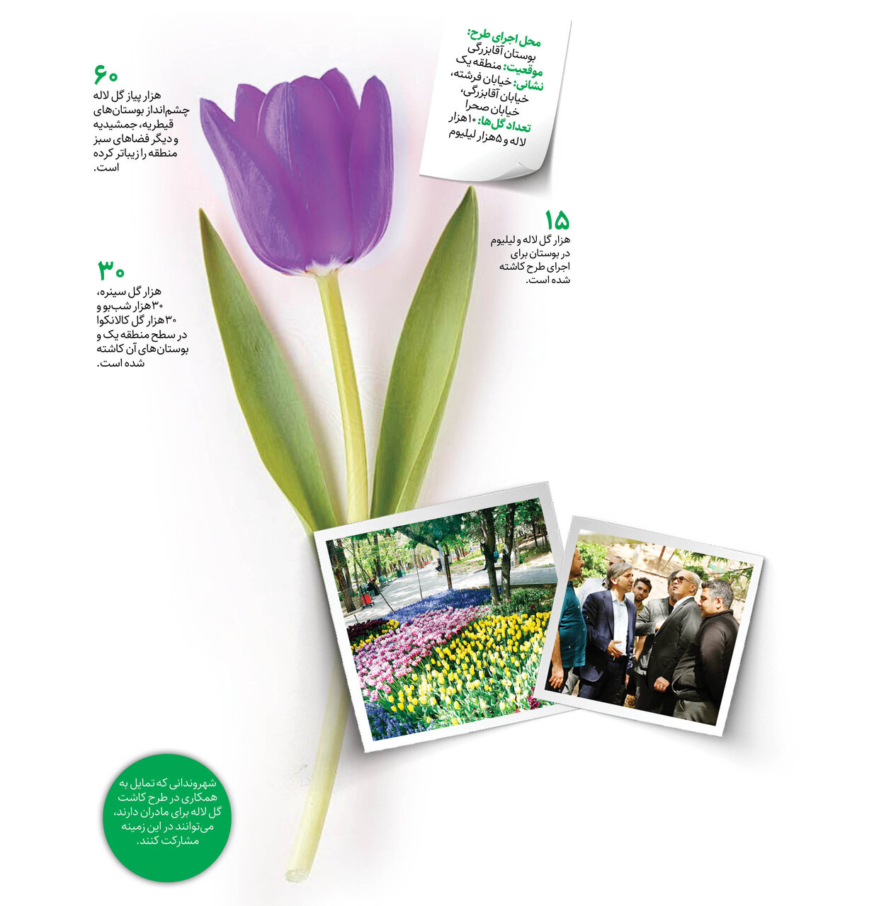 استقبال هلندیها از ابتکار یک تهرانی