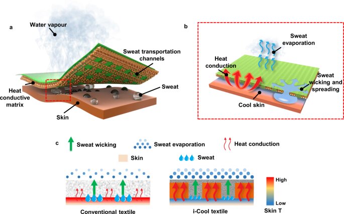 این کشف، فیزیک مواد را به چالش کشید | قهرمانان پنهان انتقال گرما