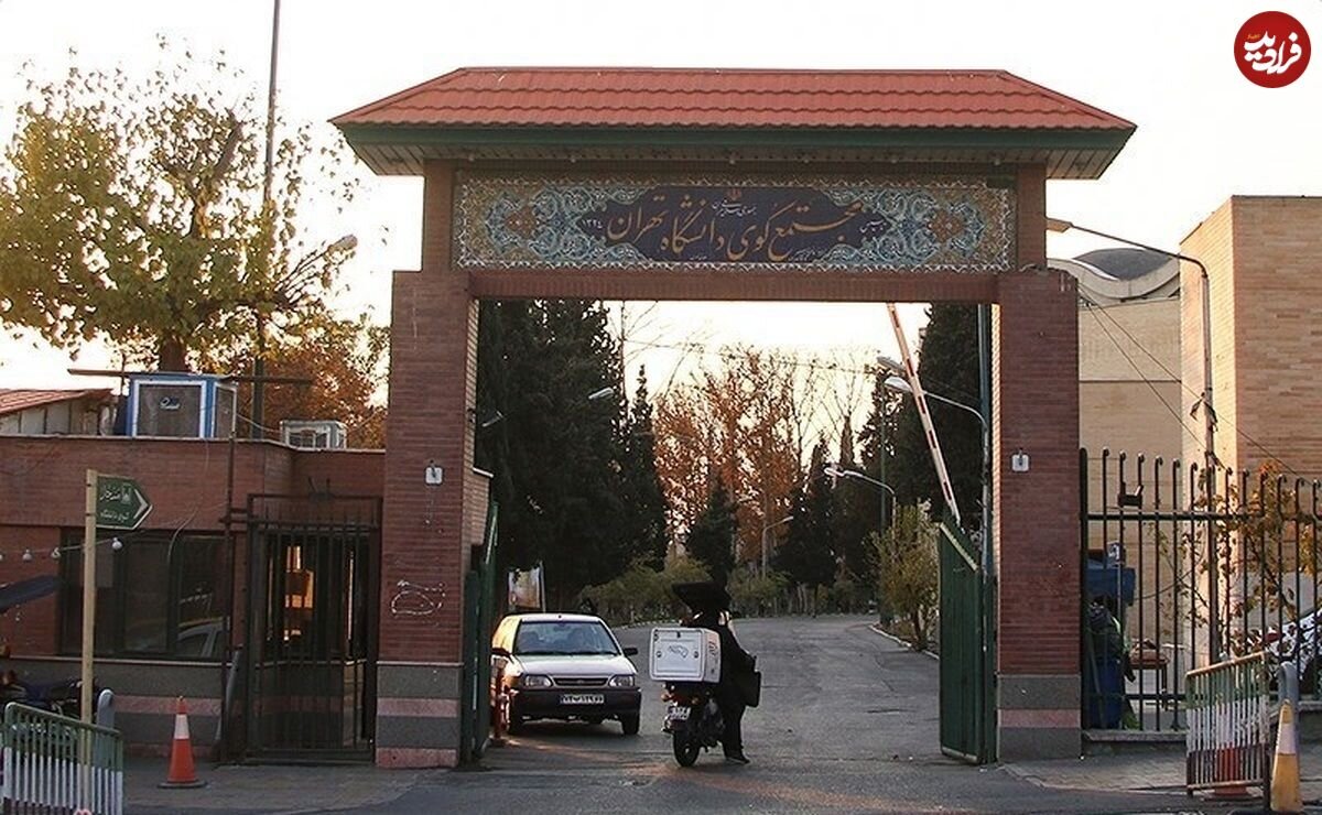 کوی دانشگاه