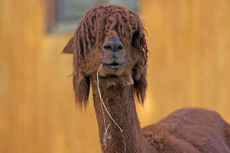 داستانهایی که از دید چشمها روایت میشوند | عکس