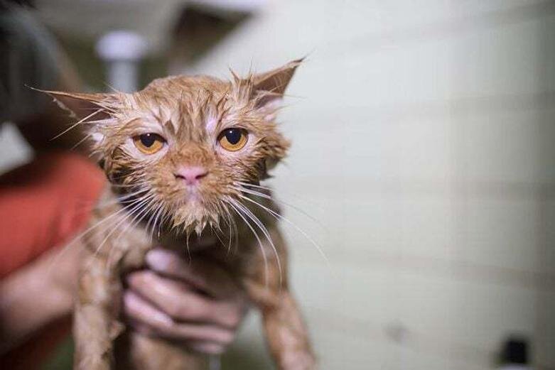 داستانهایی که از دید چشمها روایت میشوند | عکس