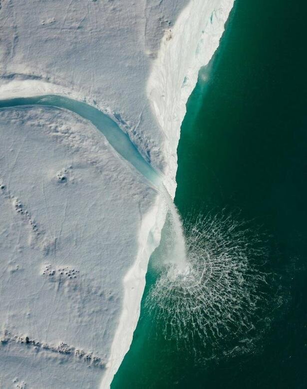 داستانهایی که از دید چشمها روایت میشوند | عکس