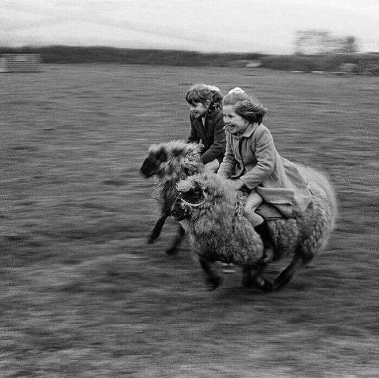 داستانهایی که از دید چشمها روایت میشوند | عکس