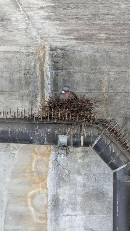 داستانهایی که از دید چشمها روایت میشوند | عکس