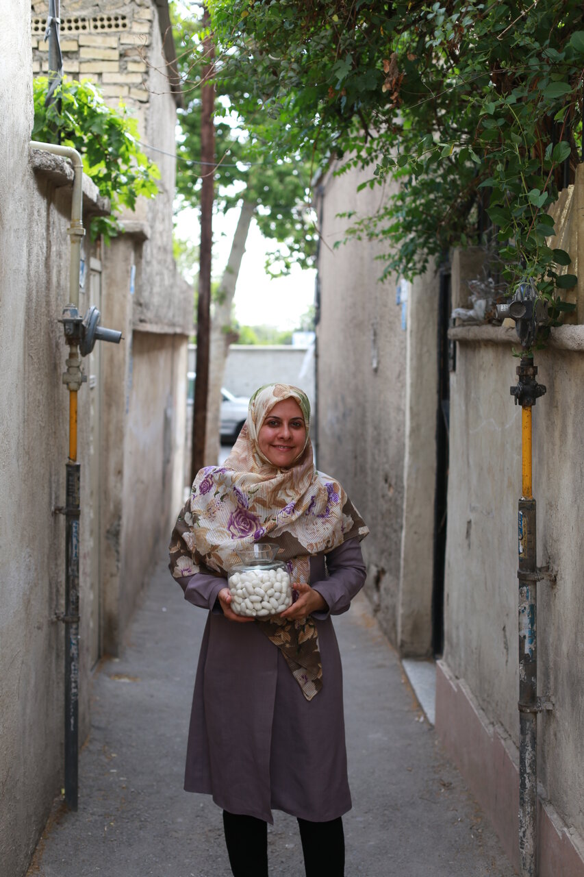 پروانه شدن ممنوع! در پیله بمانید | تولیدکننده برتر استان البرز کرم ابریشم پرورش میدهد