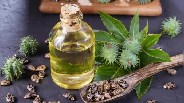 ۵ راهکار ساده برای محافظت از کبد و کلیهها